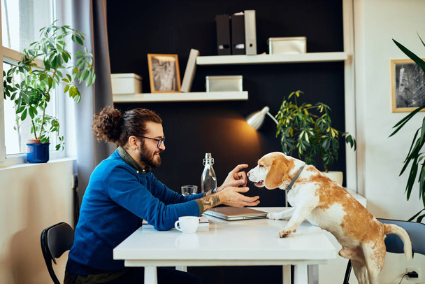 Joyeux sourire bel homme caucasien assis dans son bureau et jouer avec son chien. - Photo, image