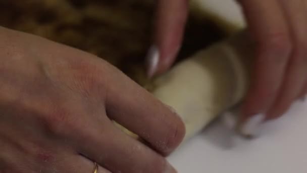 A woman rolls rolled dough for cinnabons. Shot in close up, cinnamon and sugar are visible. - Video