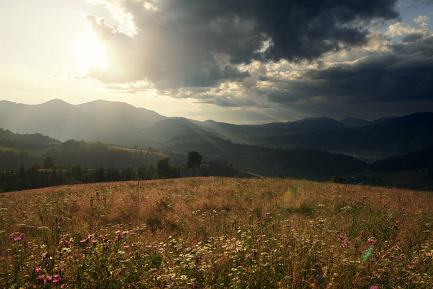 Χρυσό ηλιοβασίλεμα στα Καρπάθια βουνά - όμορφο καλοκαιρινό τοπίο, έλατα στους λόφους, σκοτεινό συννεφιασμένο ουρανό και λαμπερό φως του ήλιου, λιβάδι και αγριολούλουδα - Φωτογραφία, εικόνα