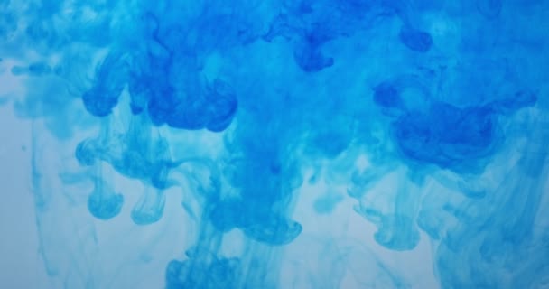 Blue color paint ink drops in water at white background. Inky cloud flowing underwater. Abstract isolated cloudy smoke explosion - Footage, Video