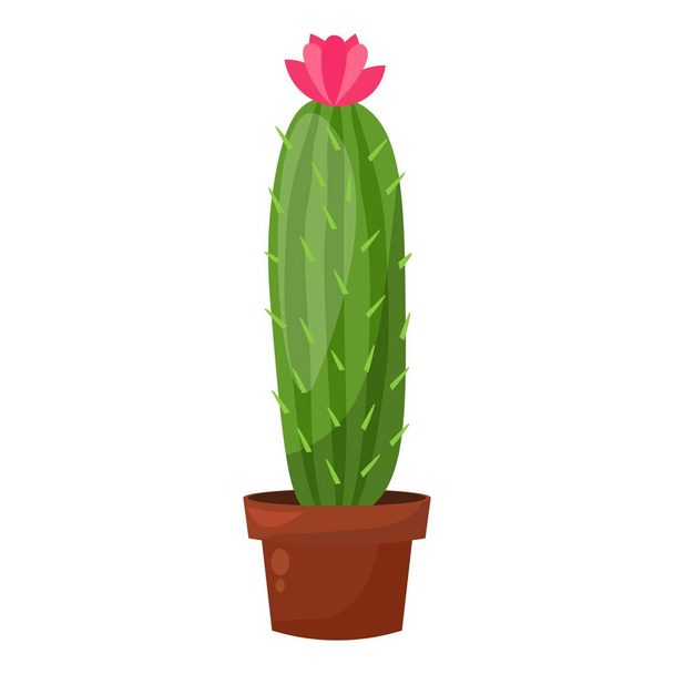 Olla de cactus verde, planta botánica de jardín casero, decoración de cactus
 - Vector, imagen