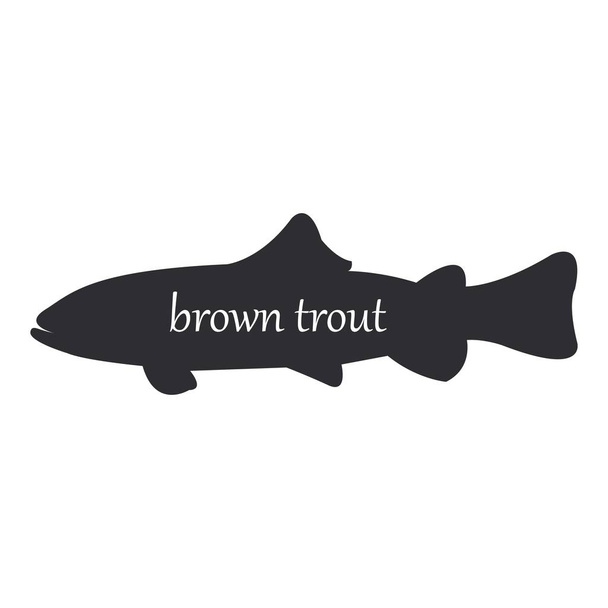Kahverengi alabalık veya Salmo trutta, beyaz arkaplanda siyah balık silueti - Vektör, Görsel