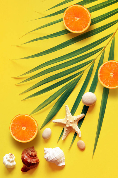 Fondo Tropical Summer Beach. Palmeras Ramas, alquitrán, concha y naranja sobre fondo amarillo veraniego. Viajar. Concepto de verano
. - Foto, imagen