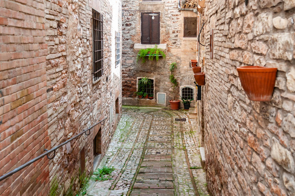 Calle estrecha en el vialge smal de Spello, Italia
 - Foto, imagen