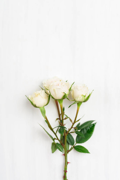 Крупним планом красива біла троянда на білому столі для дарування в особливий день
 - Фото, зображення