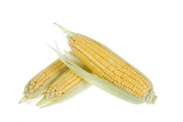 El primer plano del maíz, fondo blanco
 - Foto, imagen