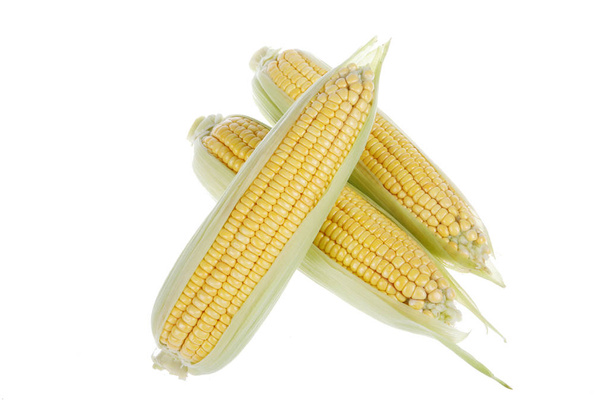Zbliżenie kukurydzy, białe tło - Zdjęcie, obraz
