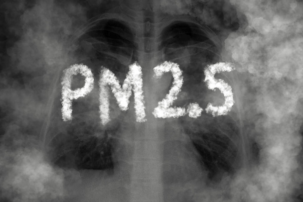 Onemocnění plic ze znečištění Pm2.5  - Fotografie, Obrázek