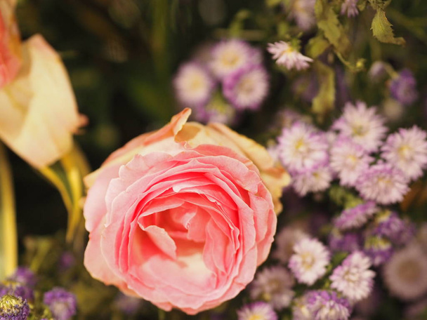 ροζ χρώμα τριαντάφυλλο διάταξη λουλουδιών Όμορφο μπουκέτο σε θολή της φύσης σύμβολο της αγάπης υπόβαθρο για την ημέρα του Αγίου Βαλεντίνου και το θέμα της αγάπης - Φωτογραφία, εικόνα