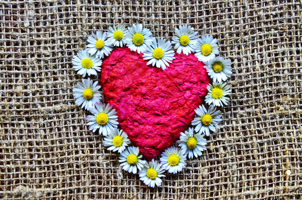 Красное сердце как символ истинной любви
 - Фото, изображение