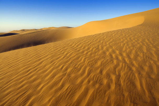 Desert. Dense gold dust, dunes and beautiful sandy structures in the light of the low sun. - Photo, Image