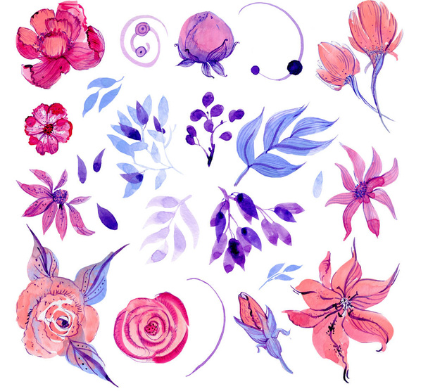a set of objects for design. blue and lilac leaves, pink and peach flowers on a spruce background. - 写真・画像