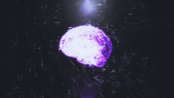 Голограмма человеческого мозга в пурпурных цветовых лучах на черном фоне. Бесшовный графический поворот вокруг своей оси, модный фон. 3D рендеринг. Инновационные технологии. Медицинские исследования
 - Кадры, видео