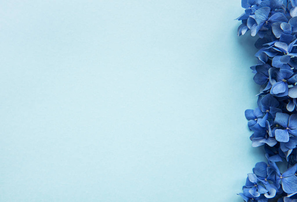 сині гортензії квіти
 - Фото, зображення