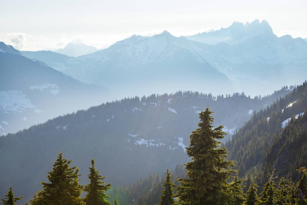 North Cascade Range, Washington / ABD 'de güzel bir dağ zirvesi. - Fotoğraf, Görsel