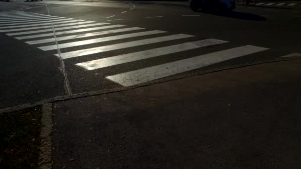 Silhouetten van mensen op trottoir, zebra. - Video