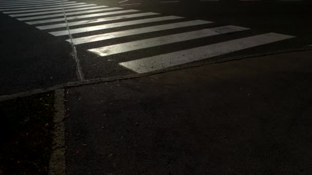 Silhouetten van mensen op trottoir, zebra. - Video