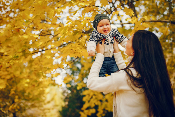 Family with little son in a autumn park - 写真・画像