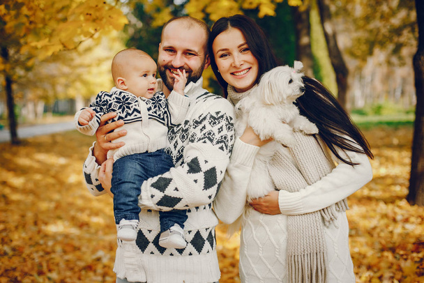 Family with son in a autumn park - Fotoğraf, Görsel