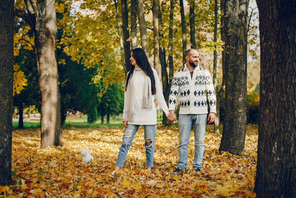 Beautiful couple spend time in a autumn park - Фото, изображение