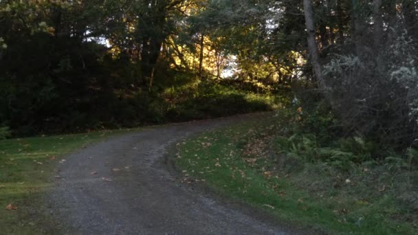 a gravel path in an autumn afternoon with wind - Footage, Video