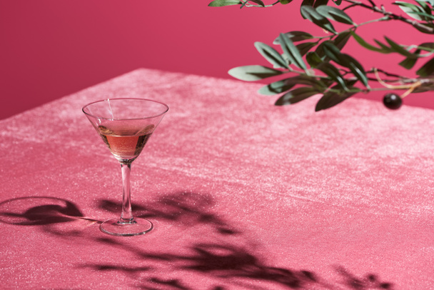 szelektív fókusz olajfa ág közelében rózsa bor üveg velúr rózsaszín ruha elszigetelt rózsaszín, lányos koncepció - Fotó, kép