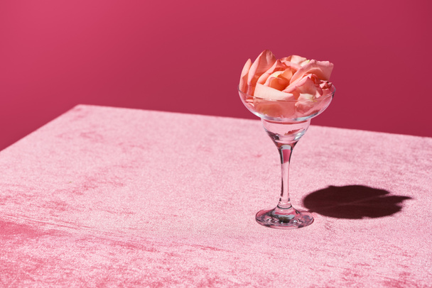 пелюстки троянд в склі на велюровій рожевій тканині ізольовані на рожевій, дівчачій концепції
 - Фото, зображення