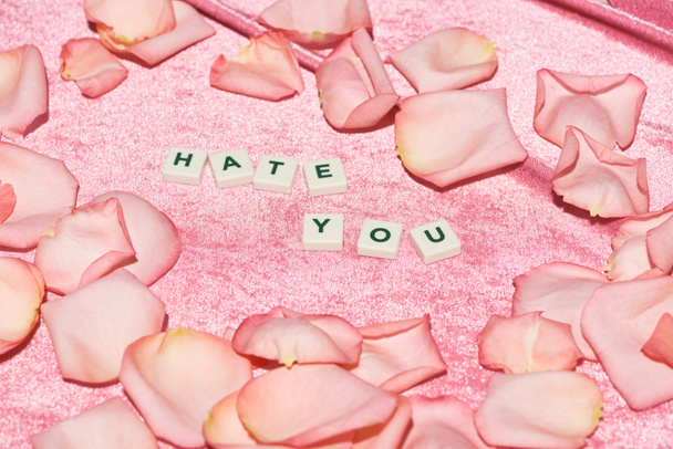 Rosenblätter verstreut in der Nähe hassen Sie Schriftzug auf samtrosa Tuch, mädchenhaftes Konzept - Foto, Bild