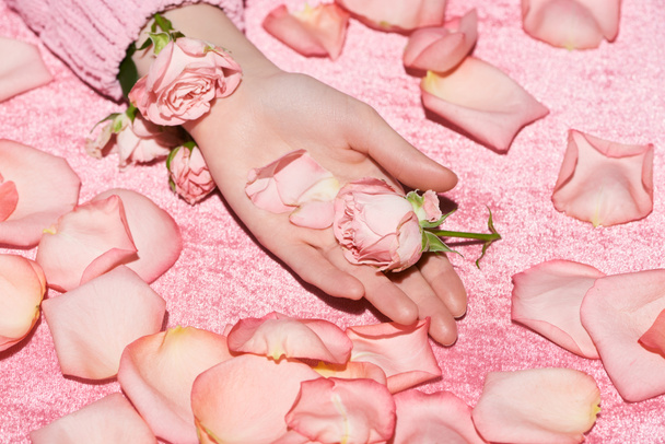 cropped view of woman holding rose among petals on velour pink cloth, girlish concept  - Foto, Imagem