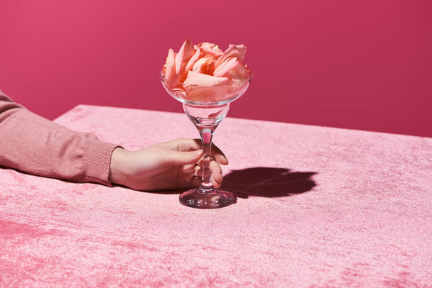 cropped view of woman with petals in glass on velour cloth isolated on pink, girlish concept  - Foto, Imagem