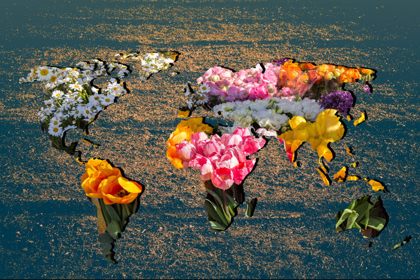 Zhruba ohraničené mapa světa s s Tulipán zahradní náplň - Fotografie, Obrázek