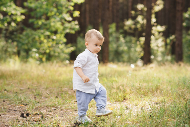 Cute boy playing in nature. Summer in the forest - Foto, Imagen