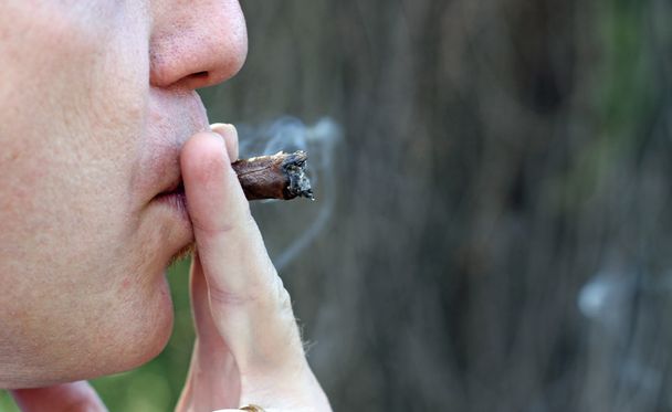 innokkaan tupakoitsijan polttama sikari
 - Valokuva, kuva