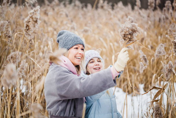 Mother and daughter on a walk in the forest, grass and snow, winter walks, forest, field, winter clothes - Foto, afbeelding