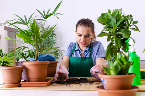Joven jardinero femenino con plantas en el interior - Foto, Imagen