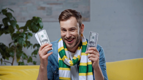 cheerful sports fan showing dollar banknotes at camera - Footage, Video