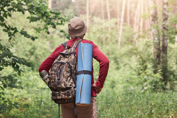 Outdoor shot of man with backpack and sleeping pad hiking in forest, forest landscape, back of tourist wears casual clothing and cap, standing with hands on hips and look far away. Lifestyle concept. - Photo, image