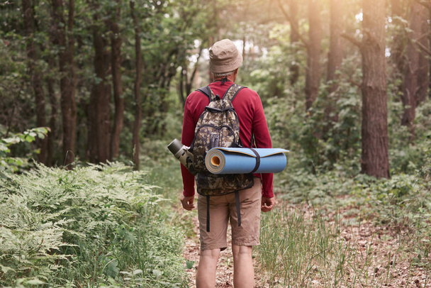 Backwards of man wearing hat, red sweater and beige trousers, posing with backpack and sleeping pad, looking at paths, surrounded with green trees. Traveling, lifestyle and adventure concept. - Foto, imagen