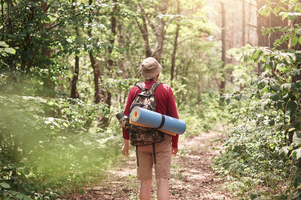 Back view of male hiker with backpack and sleepin pad on his back, walking in forest, being surrounded with green trees, wearing casual comfortable clothing. Adventure and traveling concept. - Photo, image