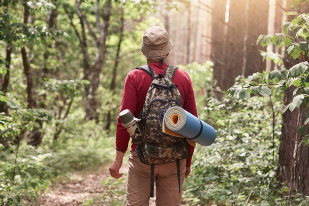 Man with hiking equipment walking in summer forest, wearing casual clothing, posing backwards, holding backpack and sleeping mat on his back, looking fowards. Traveling and adventure concept. - Foto, Imagem