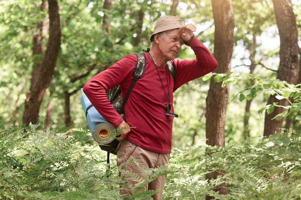 Hard, difficult, tiring and exhausting expedition of senior male in wild forest, struggling of headache, keeping hand on forehead, wearing casually, having sleeping mat and backpack. Tourism concept. - Foto, imagen