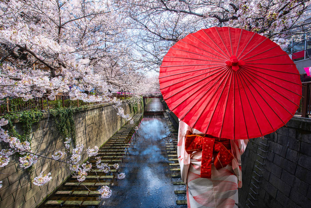 Asiática joven viajero vistiendo japonés tradicional kimono
  - Foto, Imagen