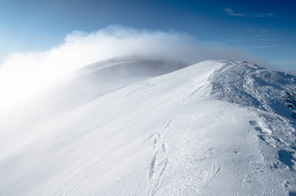 White winter landscape in mountains. Windy peak of mountain - Фото, зображення