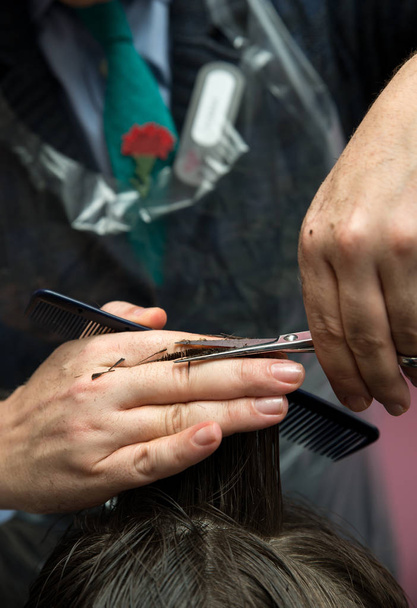 Handen van professionele haar stylist snijden client schot haar.  - Foto, afbeelding