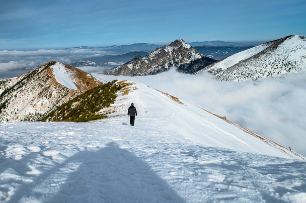 Hiker in winter mountains, High Quality Photo, Fatra in Slovakia - Photo, Image