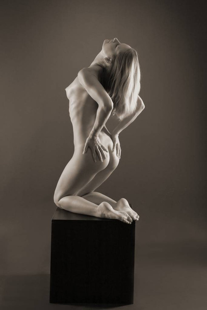 nude photo of woman, naked female - Fotó, kép