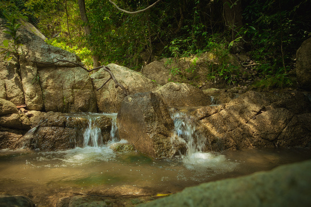 素敵な熱帯ジャングルと巨大な岩の全景 - 写真・画像
