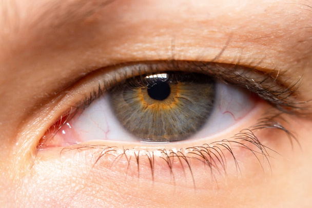 young girl's eye close up macro - Photo, Image