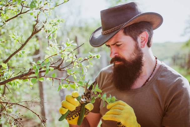 Farmer grafting branch in orchard. Portrait of father while working in garden. - Φωτογραφία, εικόνα