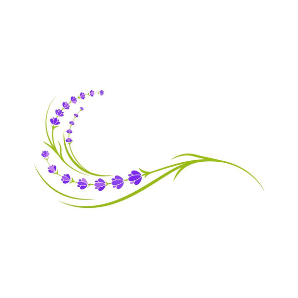 Lavendel Blume Vektor Symbol Illustration - Vektor, Bild